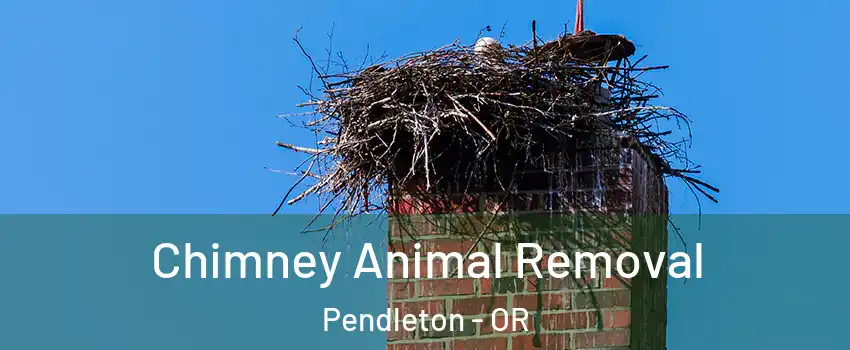 Chimney Animal Removal Pendleton - OR