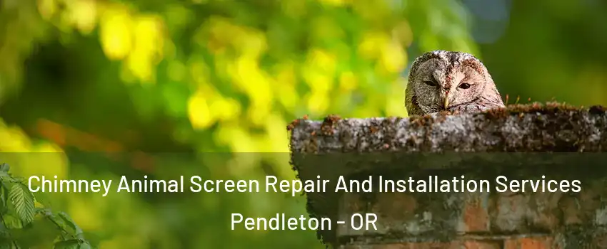 Chimney Animal Screen Repair And Installation Services Pendleton - OR