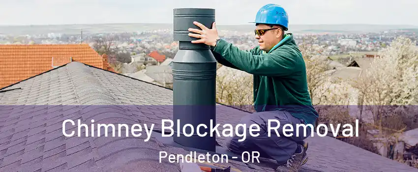  Chimney Blockage Removal Pendleton - OR