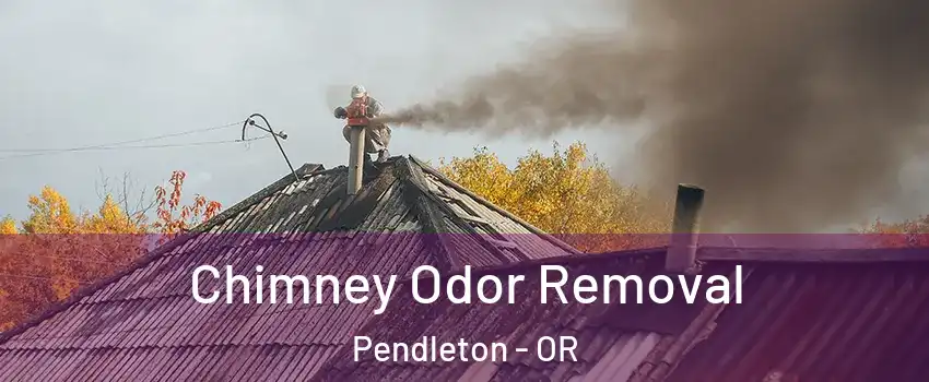  Chimney Odor Removal Pendleton - OR