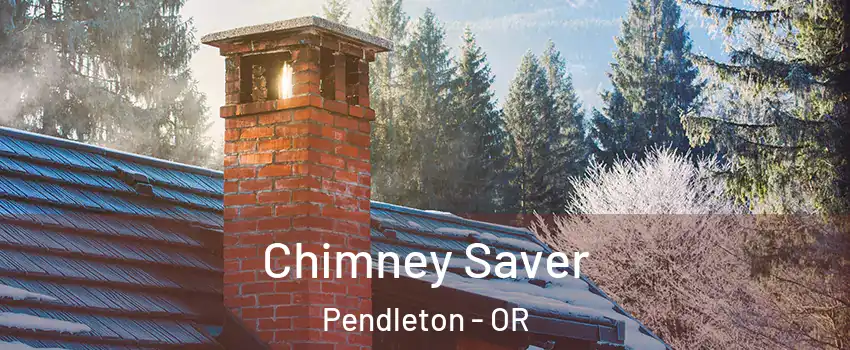  Chimney Saver Pendleton - OR