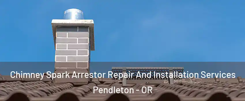 Chimney Spark Arrestor Repair And Installation Services Pendleton - OR