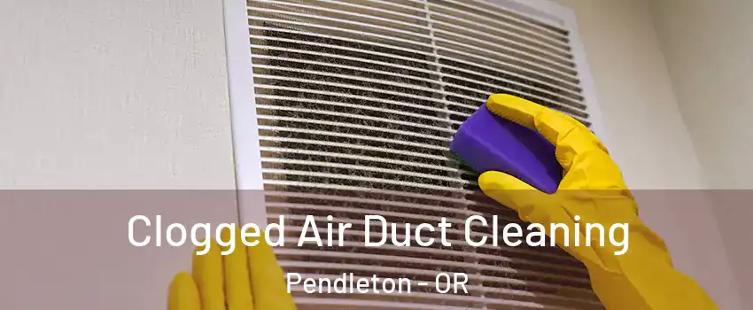  Clogged Air Duct Cleaning Pendleton - OR
