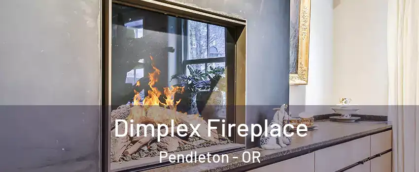  Dimplex Fireplace Pendleton - OR