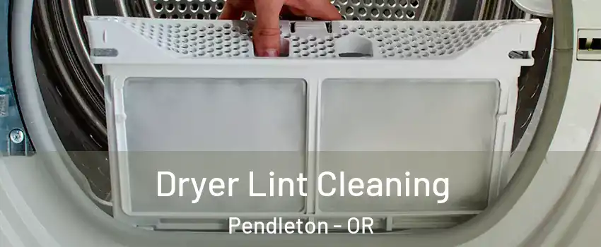  Dryer Lint Cleaning Pendleton - OR