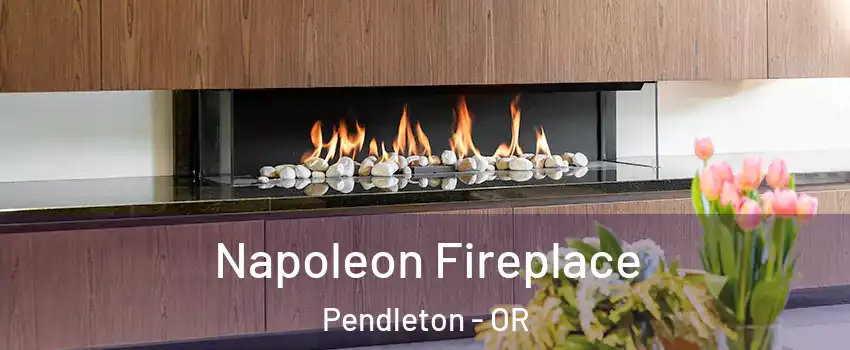  Napoleon Fireplace Pendleton - OR